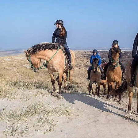 L'abri Cotier - Face 2/4 Personnes